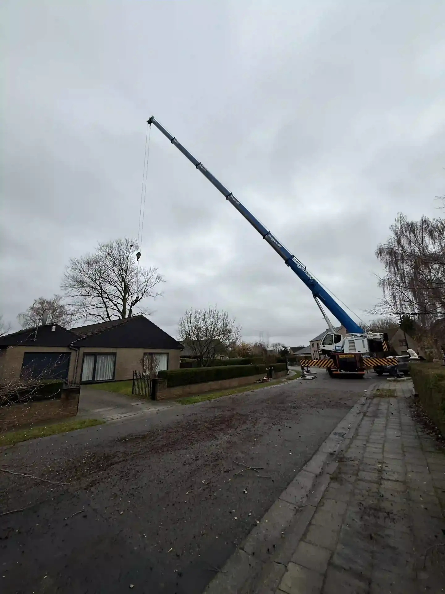 Arbre démonté à la grue au-dessus d'une maison