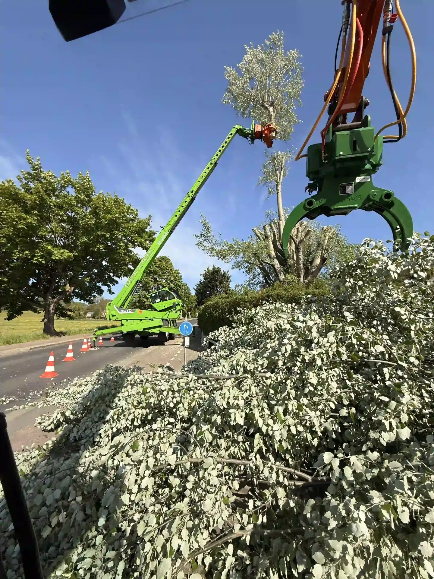 Coupe d'un peuplier au grappin sécateur sur télescopique