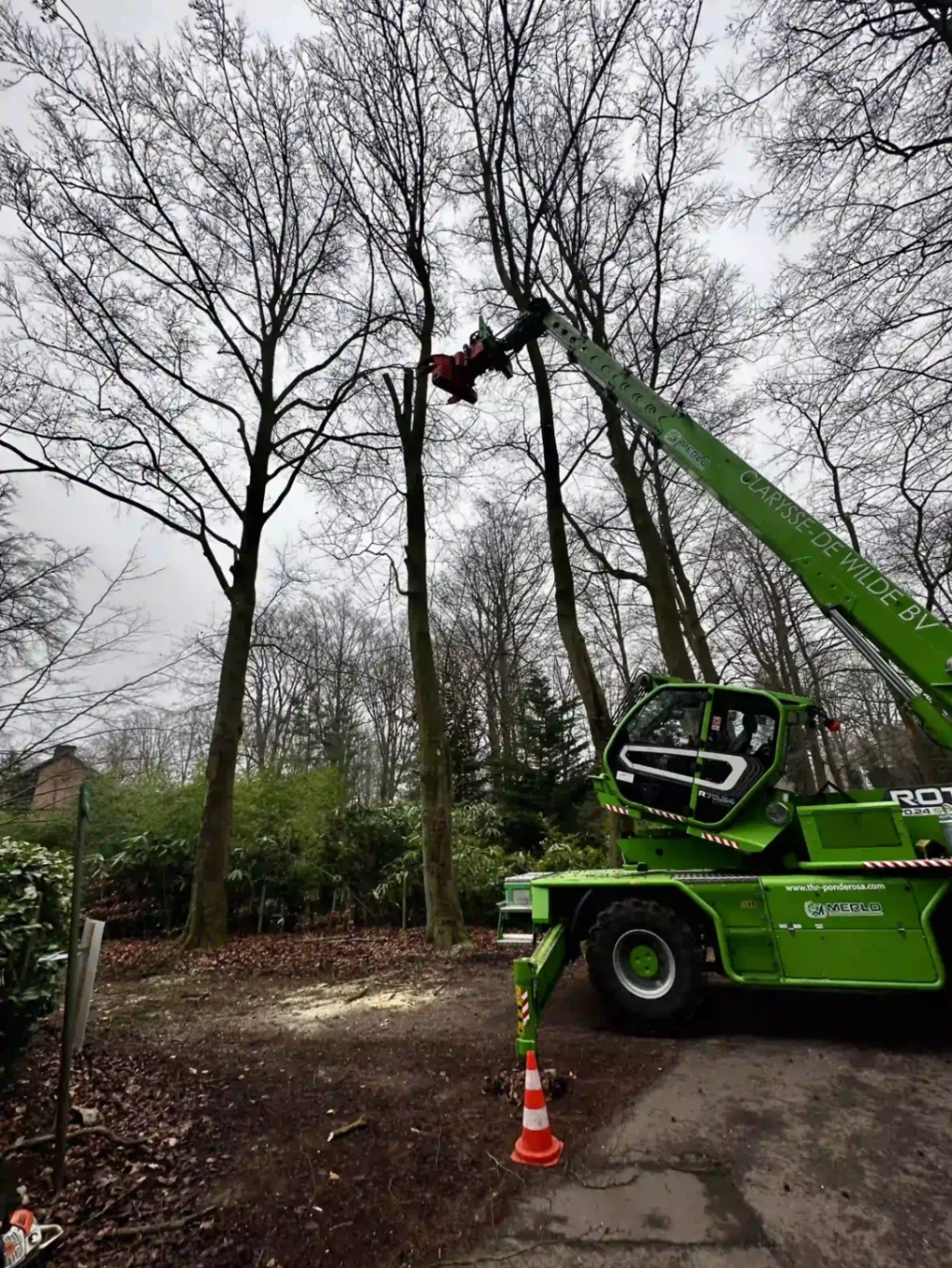 Élagage et taille d'arbres à Nivelles