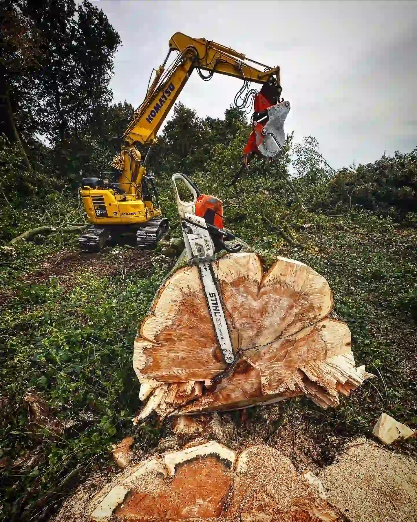Déboisement de terrain à Nivelles