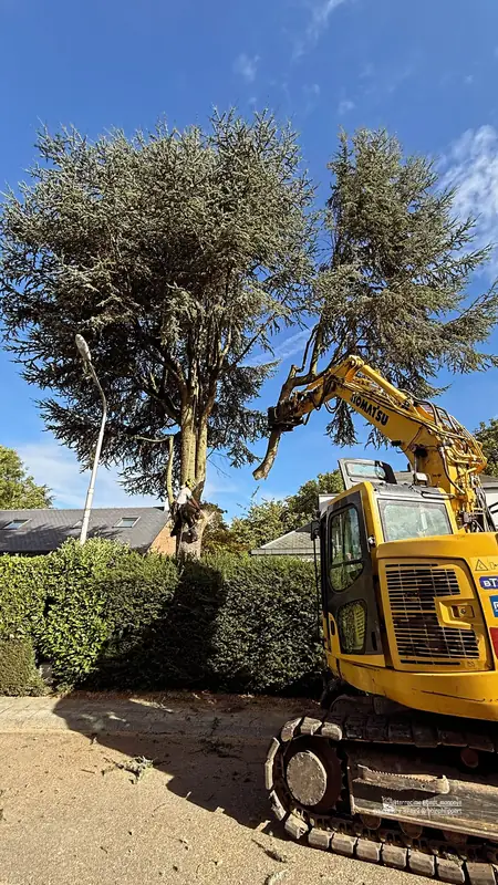 Pelle sur chenilles accédant à un jardin pour dessouchage