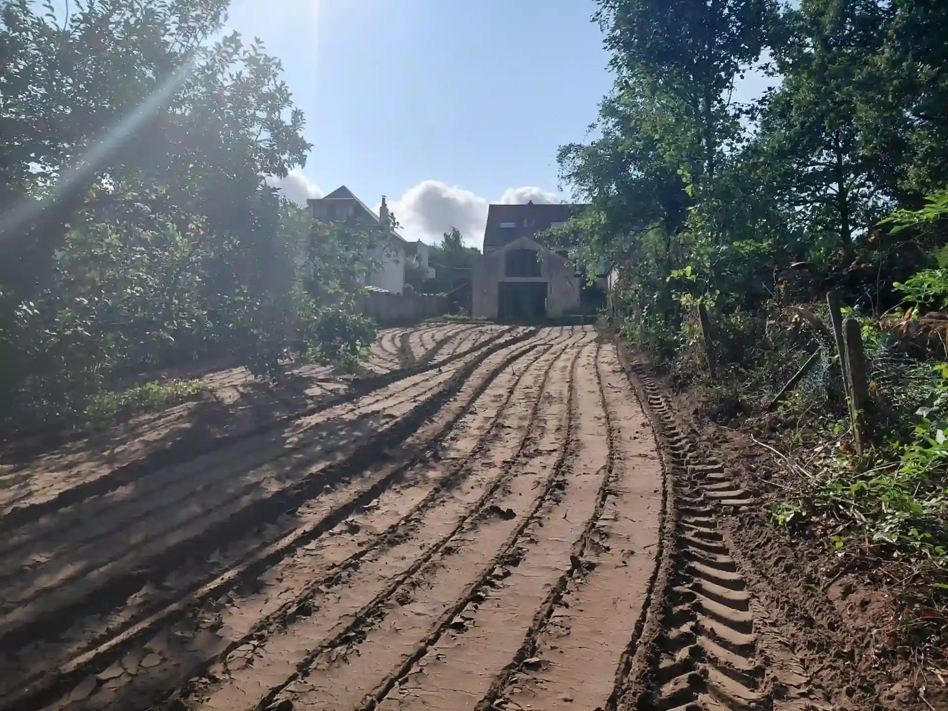 Déboisement de terrain à Seneffe