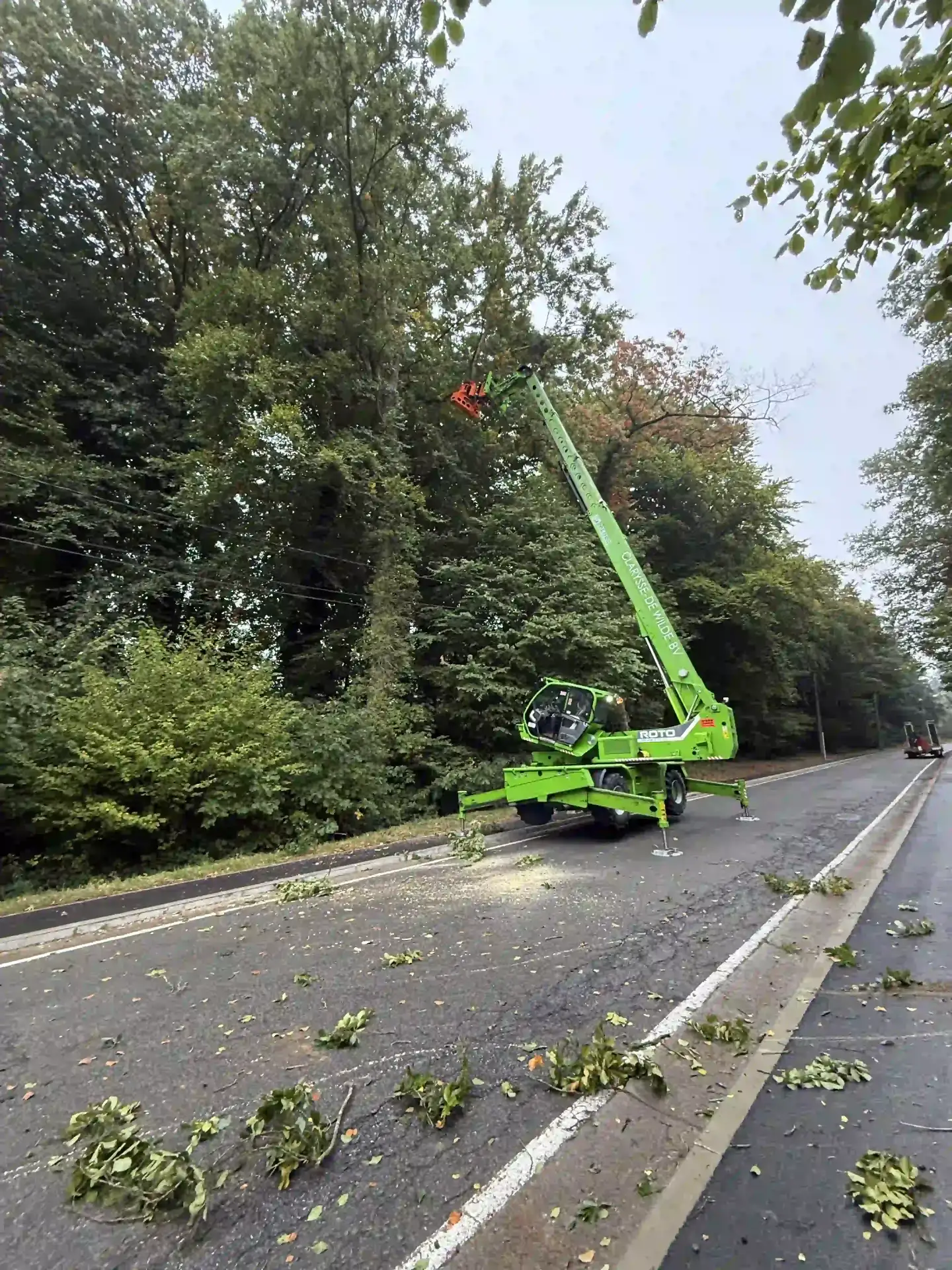 Élagage en hauteur au télescopique en bord de route