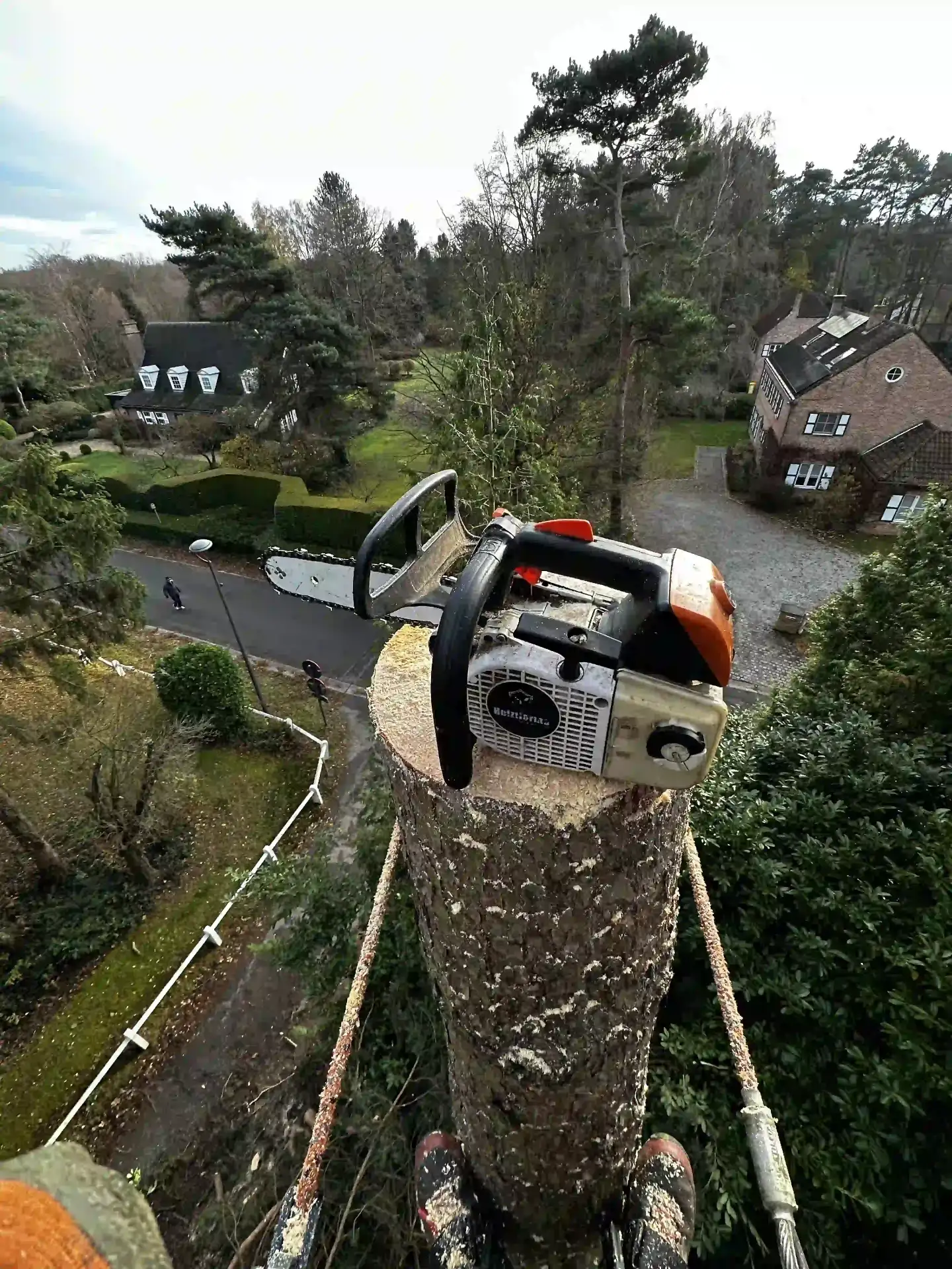 Arboriste tronçonnant en tête d'arbre, vue plongeante