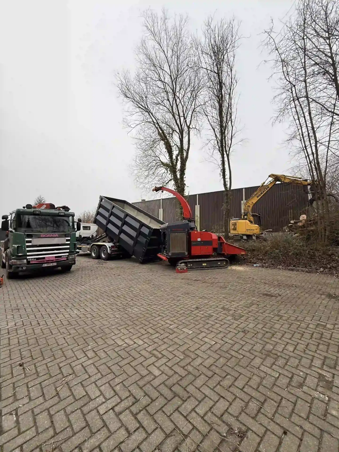Démontage d'arbre en milieu urbain à Forest